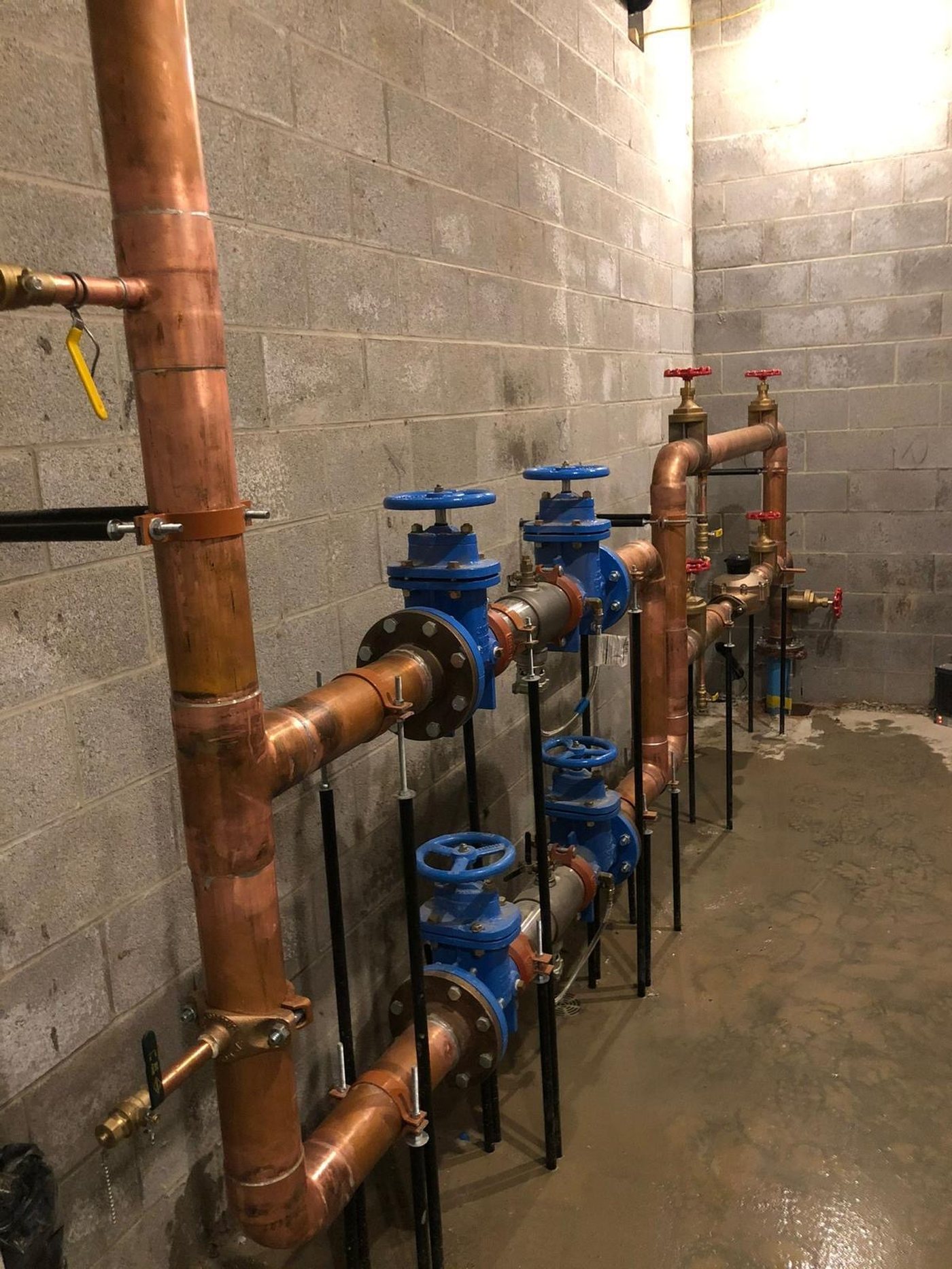 Water main & backflow